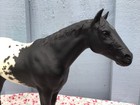 Breyer Vintage Stock Horse  66 Stud Spider Black Appaloosa Blanket Stallion Nice