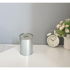 Metal Money Coin Piggy Bank With Easy Open Lid For Saving Adults Silver