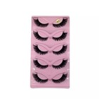 5 Pairs Cat Eye False Eyelashes     Faux Mink Elongated Wispy Lashes