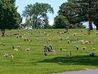Two Cemetery Plots Memorial Park Cemetery 