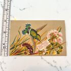 Lot Of 6 Antique Victorian Die Cut Scraps Birds Flowers Doves Roses Authentic
