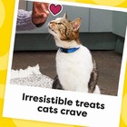 Temptations Classic Crunchy And Soft Cat Treats Tasty Chicken Flavor  30 Oz  Tub