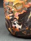 Amazon River Jasper Contour Polished