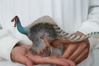 Pnso 64 Deinocheirus Jacques Model Prehistoric Animal Theropoda Dinosaur Decor