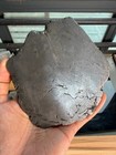 320grams Campo Del Cielo Meteorite Slice