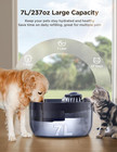7l 1 8gal Dog Water Fountain For Large Dog   Dog Water Bowl Dispenser