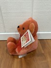 Nwt Vintage 2002 Avon Year Of The Teddy Bear 100th Anniversary Talking Plush
