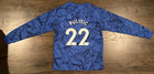 Chelsea 2019-2020 Christian Pulisic Home Kit