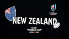 New Zealand All Blacks T Shirt Rugby World Cup Japan 2019 Logo Signet Tee L Vgc