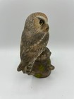 Elf Owl Original Wood Carving