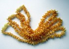 Natural Baltic Ambers Kids Necklace  3 Pieces 