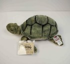 Nwt Webkinz Signature Sea Turtle Plush   Unused Code Retired Ganz