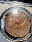 1967 Canada  1 Silver Dollar Pcgs Pl64 - Beautiful Toning 