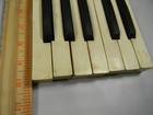 1890s   Pump Organ Keys   1 Octave  12 Keys - M46