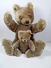 Vintage 2 Steiff Teddy Bears Large 0202 51 And Small 0202 26   jointed  button