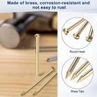 100-pack Small Nails  2mm X 10mm Brass Nails Round Head Hardware