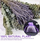 Dried Eucalyptus   Lavender Flower Bundles For Shower   Home Decor