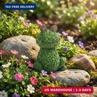 Green Frog Figurine For Plant Pot Decor  5 3  Resin Frog Small Statue Fairy Gard