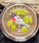 2012 Canada 25 Cents Rose-breasted Grosbeak Coloured Coin -   26500