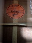 Gibson Acoustic Guitar