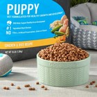 Puppy Chicken   Rice Recipe Dry Dog Food For Puppies 16 Lbs