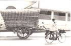 1940 Ww2 Original Photo Covered Wagon Bullock Cart Colombo Ceylon Sri Lanka
