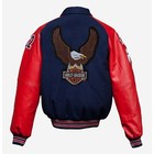 Harley Davidson Large Eagle Embroidered Iron sew- On Patch Usa Motorcycle Jacket