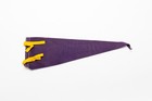 Vintage Yellowstone Park Souvenir Felt Pennant 18 