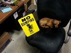 9x12 No Dumping Sign