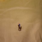 Polo Ralph Lauren Men   s Size 15    34-35 Button-down Shirt Yellow Long Sleeve Nwt