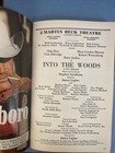 Into The Woods Broadway Playbill Nov 1988 Betsy Joslyn  Chip Zien  Tom Aldredge