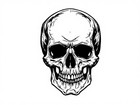 Skull Head Wall Art Reusable Plastic Stencil For Diy Crafts Physical Product