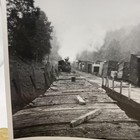 Vintage Steam Locomotive Logging Lumber Yard Railroad Photo 4x5 B w Gelatin Orig