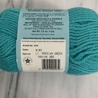 Caron Wintuk 4 Acrylic Yarn Worsted Weight Light Persian Green 3 5 Oz 4 Ply