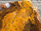 Cathedral Agate San Carlos Mexico 3 75 x2 8  Jasper Lapidary Rough Slab Cabbing