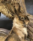 Large Bunny Victorian Die Cut Scrap - L5