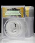 2009 Ms 64 Dcam Anacs Canada Silver Maple Leaf Coin - Brandenburg Gate Privy 