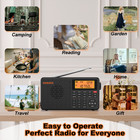 2025 Portable Radio D-109 Shortwave Fm Lw Mw Sw Bluetooth Mp3 Player Global Band