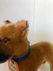Vintage Steiff Boxer Standing With Original Collar Button   Name Tag 6 5  Tall