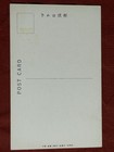 Nude Japanese Vintage Postcard