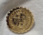 West Coast University Bsn Nursing Graduate Lapel Pin Gold Tone Est 1909