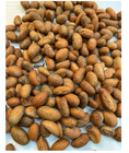 Organic Bitter Kola Nut  garcinia Kola   0 5lb W africa