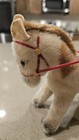 Vintage Steiff Horse With Red Bridle And Saddle Glass Eyes Germany