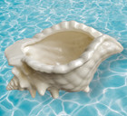 Conch Shell  Large Vintage Figural Planter Ceramic Conch Shell  Large 10  Length