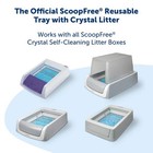 Petsafe Scoopfree Reusable Tray With 4 3 Lb Of Crystal Cat Litter  Fresh Scent