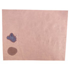 Red Litmus Test Paper 8  10 Inch Sheet  pack Of 24 
