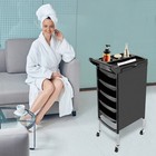 5-drawer Rolling Barber Beauty Salon Cabinet Trolley Stylist Station Equipment