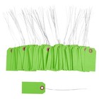 100 Green Tags With Wire 3 1 4 X 1 5 8  Size 2 Inventory Price Hang Prewired Tag