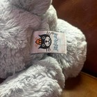 Jellycat Medium Bashful Beau Bunny Bnwot