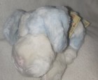 Nwt Animal Alley Toys R Us Baby Puppy Dog Blue  Stuffed  Rattle Plush Small 